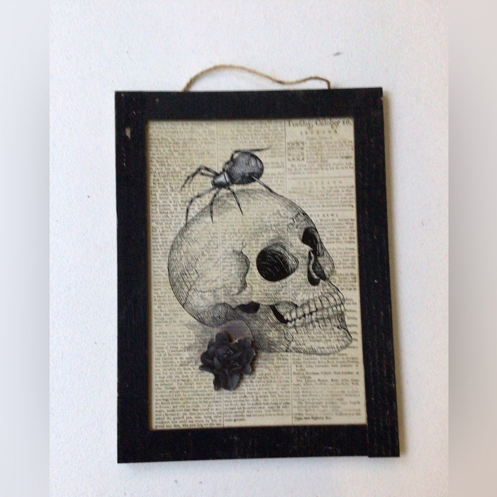 Black Framed Skull and Spider Wall Art